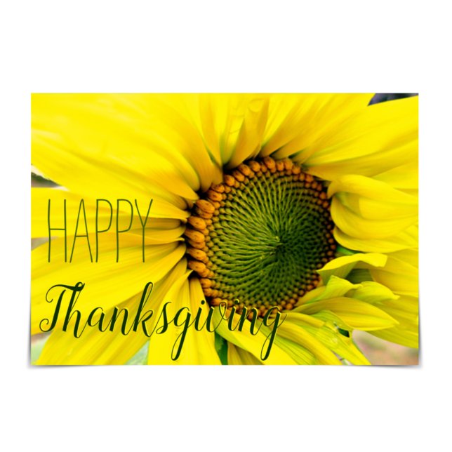 "Happy Thanksgiving" Sunflower Friend Card (Creator Uploaded)