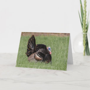 Happy Thanksgiving Turkey Card