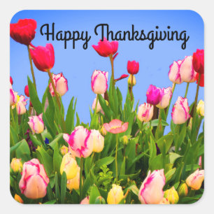 Happy Thanksgiving Various Tulips #3 Stickers