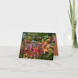 Happy Thanksgiving - Vibrant Fall Foliage Card
