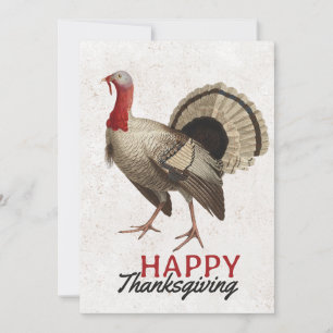 Happy Thanksgiving Vintage Turkey Bird Fall  Holiday Card