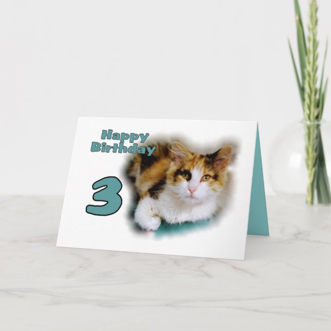 Happy Third Birthday Calico Cat Card (Front)
