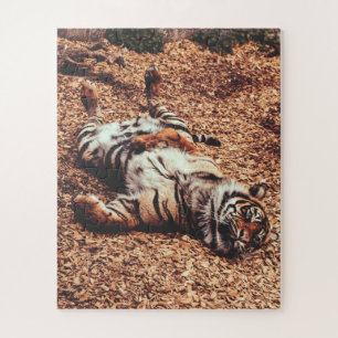 Happy Tiger Belly Up Rolling in Leaves Jigsaw Puzzle