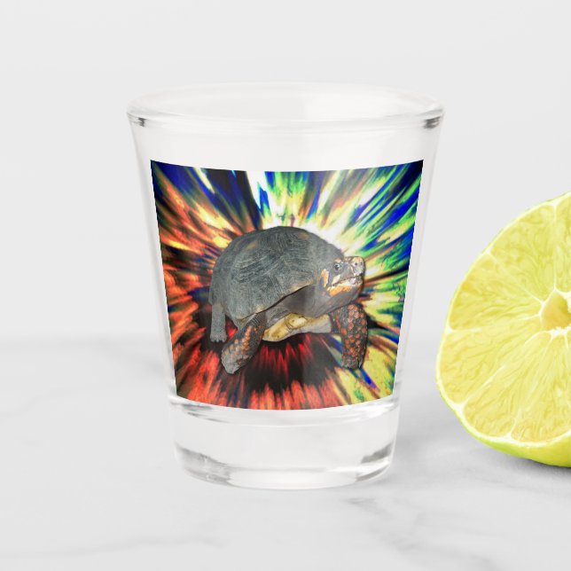 Happy Tortoise Shot Glass (Front)
