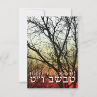 Happy Tu B’Shevat! : Jewish Arbor Day