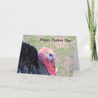 happy turkey day card