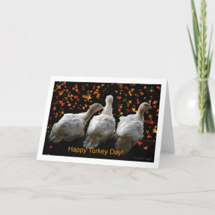 Happy Turkey Day Holiday Card