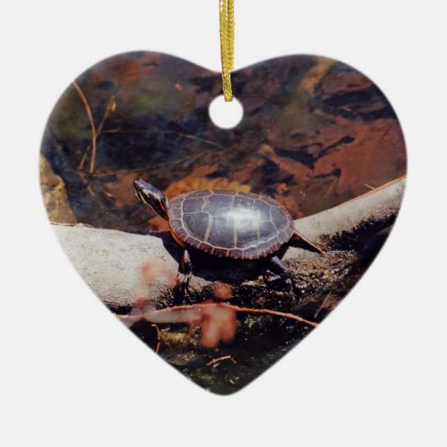 Happy Turtle Ceramic Tree Decoration (Front)