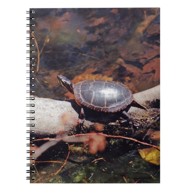 Happy Turtle Spiral Notebook (Front)