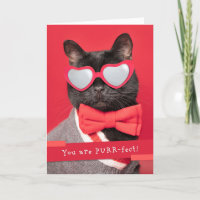 Happy Valeneitne's Day Cute Cat in Heart Glasses