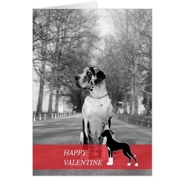 Happy Valentine (Front)