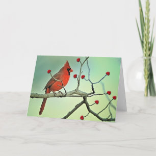 Happy Valentine Day Cardinal Holiday Card