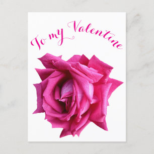 Happy Valentine pretty hot pink rose floral Postcard