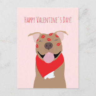 Happy Valentines Day American Bulldog Kiss Marks Postcard