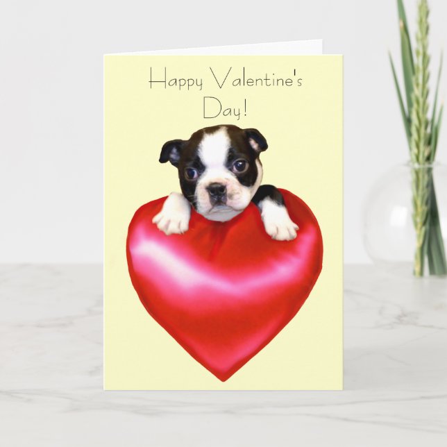 Happy Valentine's Day Boston Terrier Card (Front)