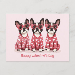 Happy Valentines Day Boston Terrier Dogs Holiday Postcard