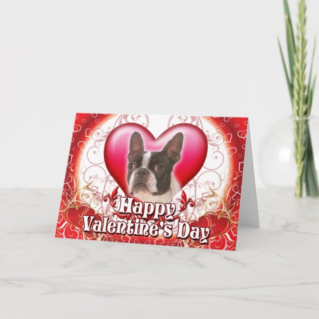 Happy Valentines Day Boston Terrier Holiday Card (Front)