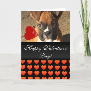 Happy Valentine's Day Boxer dog hearts Card