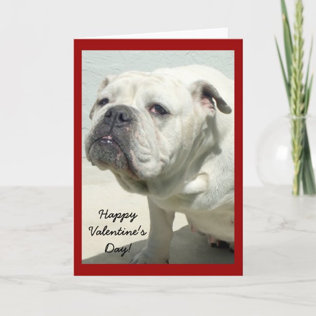 Happy Valentine's Day bulldog greeting card (Front)