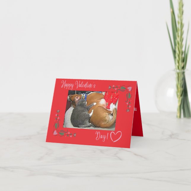 Happy Valentine's Day, Cat and Dog Thank You Card (Front)