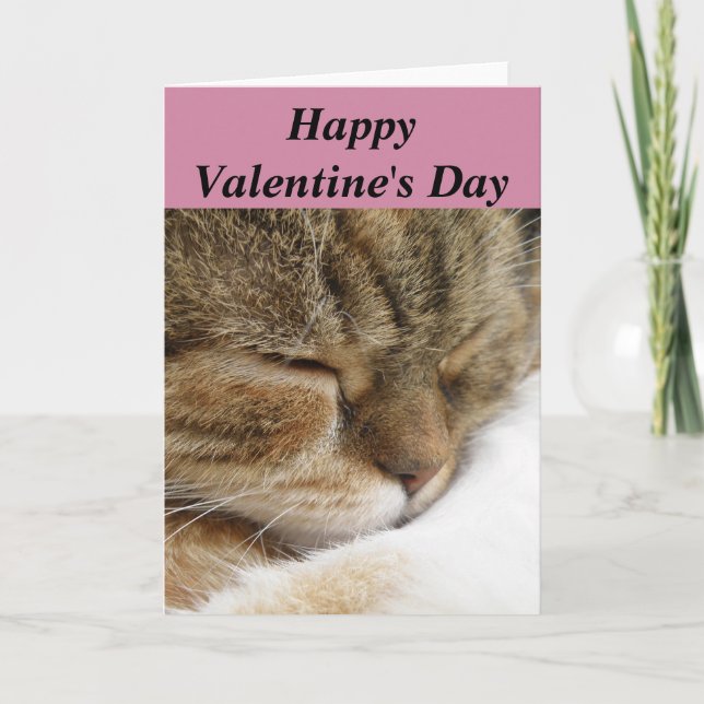 Happy Valentine's Day Cat Card (Front)