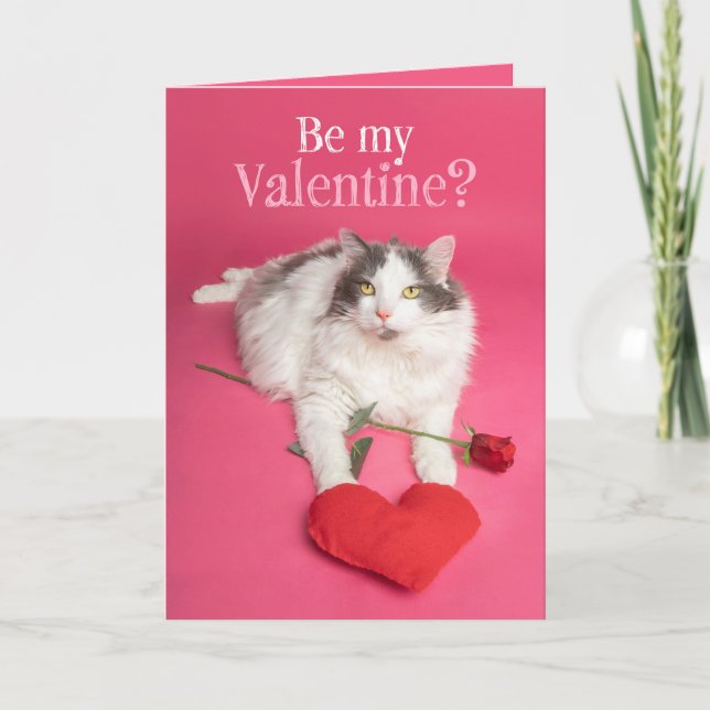 Happy Valentines Day  Cute Cat With Heart Holiday Card (Front)