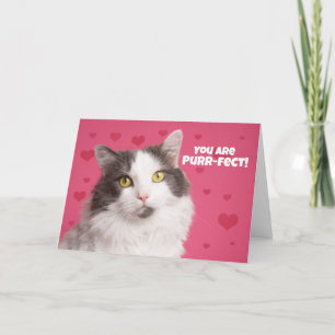 Happy Valentine's Day Cute Cat with Hearts Holiday Card