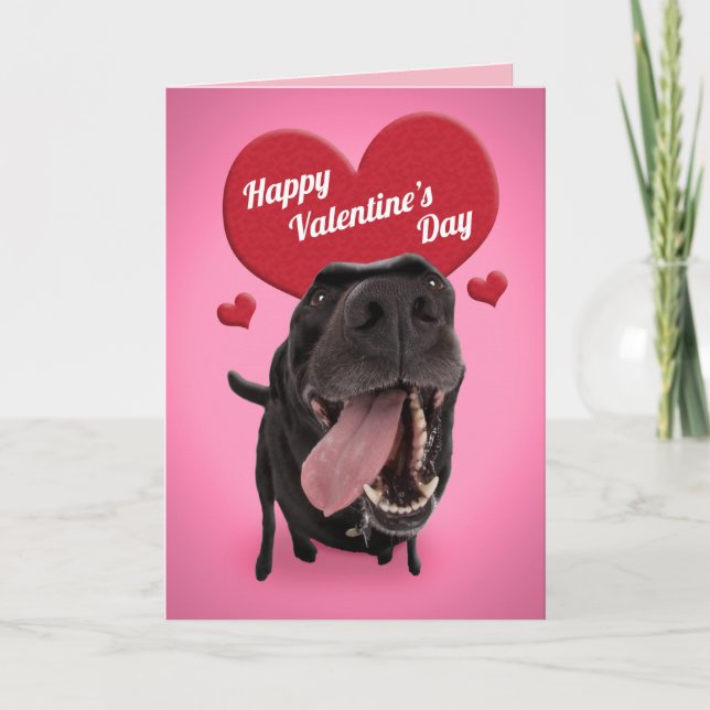 Happy Valentine's Day Cute Dog Humour Holiday Card (Front)
