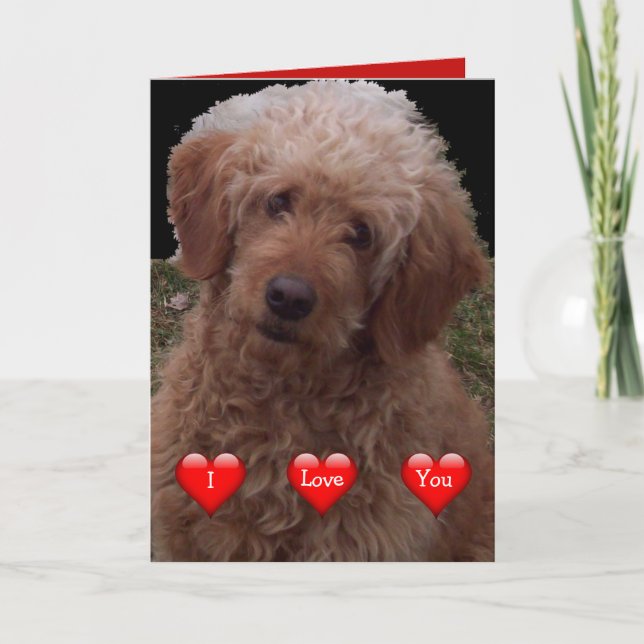 Happy Valentine's Day- Cutest Dog in the World Card (Front)