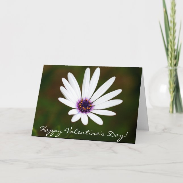 Happy Valentine's Day Daisy greeting card (Front)