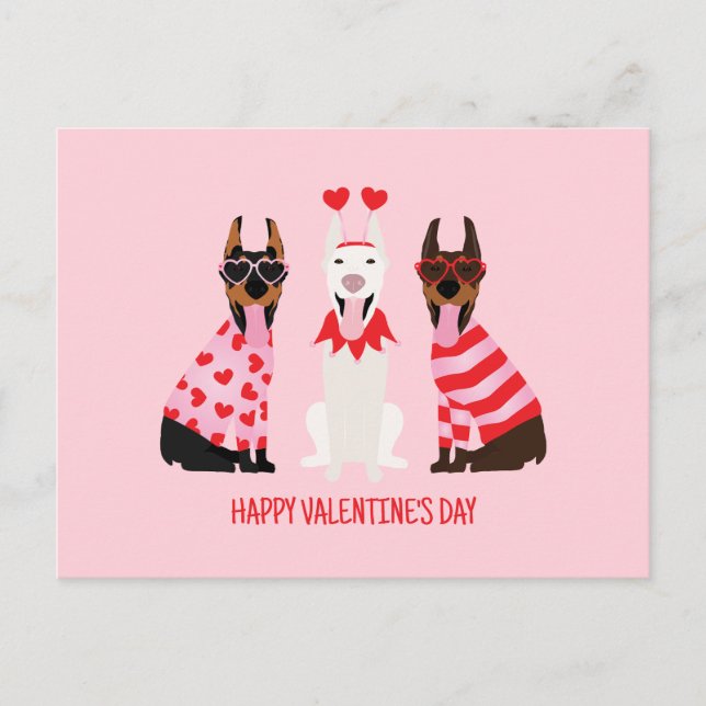 Happy Valentines Day Dobermann Dogs Postcard (Front)
