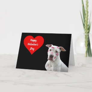 Happy Valentine's Day Dog holiday card