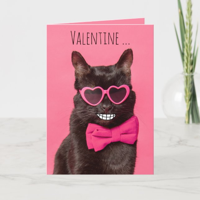 Happy Valentines Day For Anyone Funnty Cat Holiday Card (Front)