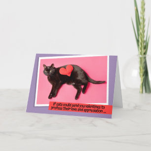 Happy Valentines Day For Anyone Funny Cat Humour Holiday Card
