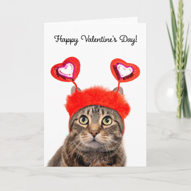 Happy Valentine's Day For Anyone Tabby Cat  Holiday Card (Front)