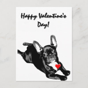 Happy Valentine's Day French Bulldog postcard