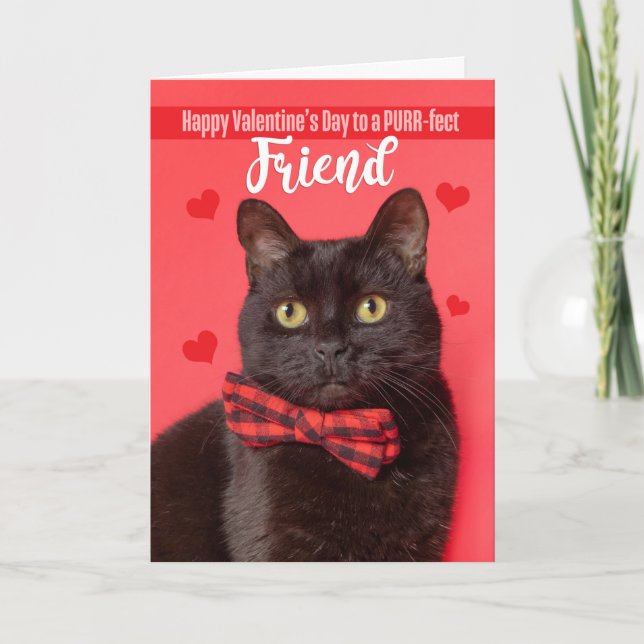 Happy Valentine's Day Friend Cute Cat in Bow Tie Holiday Card (Front)