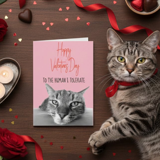 Happy Valentine's Day From Cat To Human  Funny Card (Creator Uploaded)