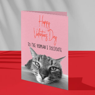 Happy Valentine's Day From Cat To Human  Funny Card