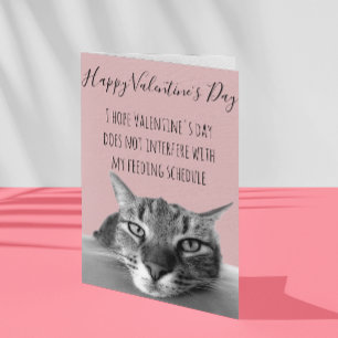 Happy Valentine's Day From Cat To Human Humour Card