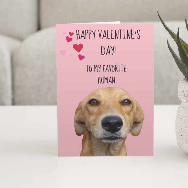 Happy Valentine's Day From The Dog Card (Creator Uploaded)