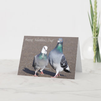 Happy Valentine's Day! Holiday Card