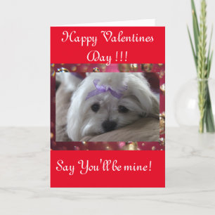Happy Valentines Day Holiday Card