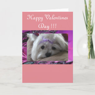 Happy Valentines Day Holiday Card