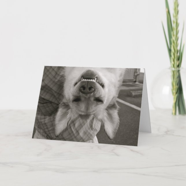 Happy Valentine's Day Holiday Card (Front)