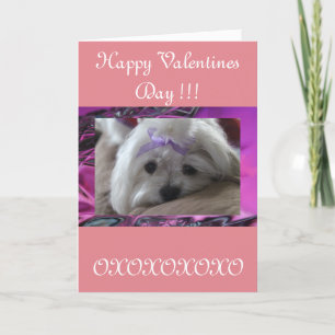 Happy Valentines Day Holiday Card