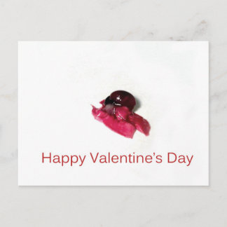 Happy Valentine's Day Holiday Postcard