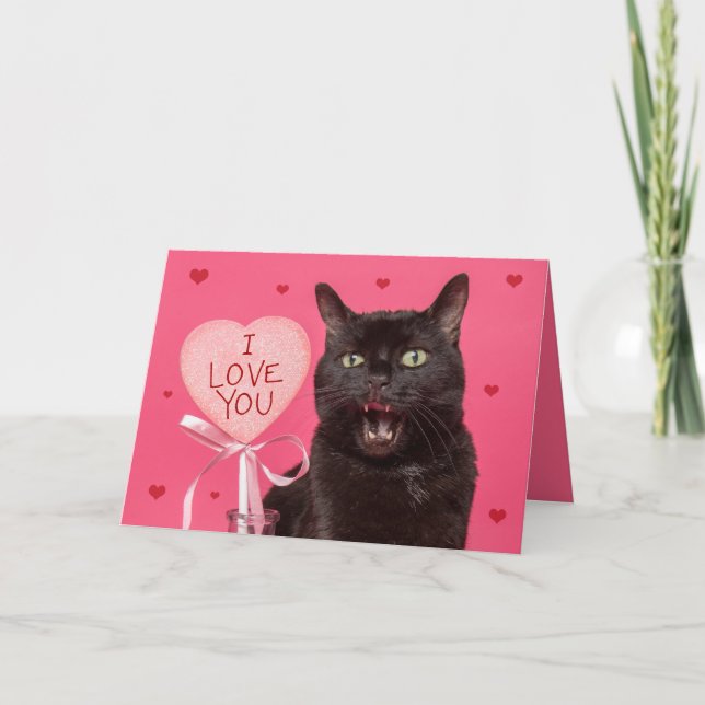 Happy Valentines Day I Love You Funny Talking Cat  Holiday Card (Front)