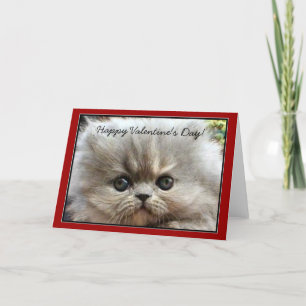 Happy Valentine's Day Persian Kitten greeting card
