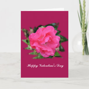 Happy Valentine's Day. Pink rose flower photo art. Holiday Card